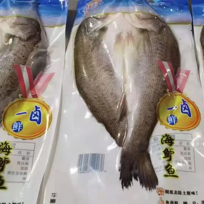 海鲈鱼