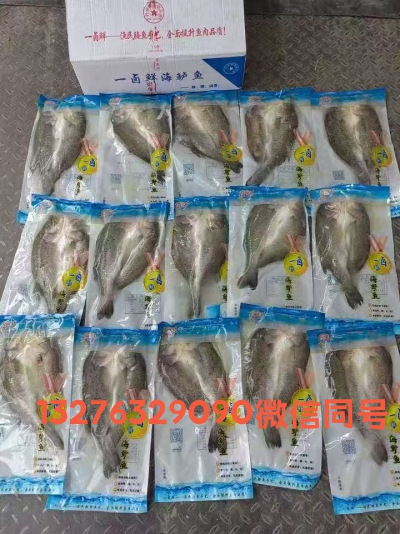 海鲈鱼