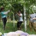 猕猴桃/八月瓜园棚架水泥柱、水泥桩、水泥杆、水泥立柱……