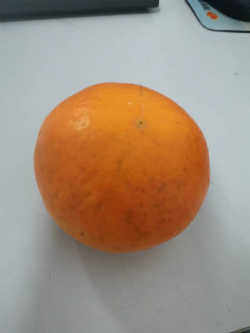 广西武鸣沃柑