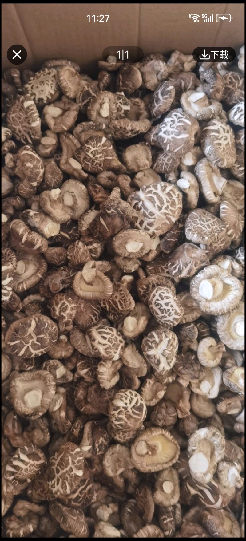 茶花菇干香菇花菇肉厚冬菇基地直销包邮