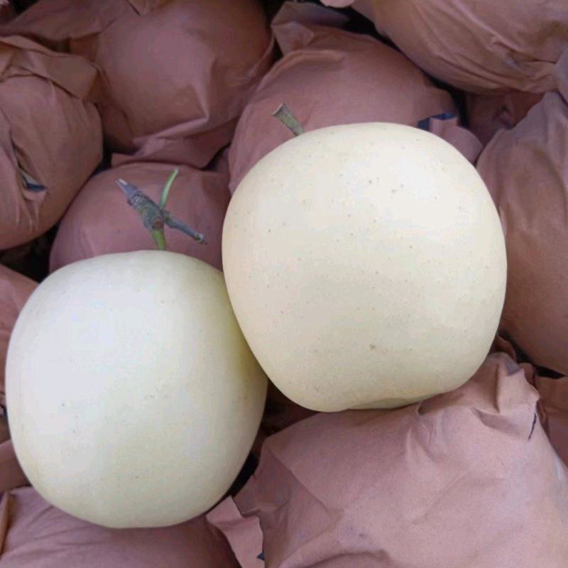 【苹果】辽宁黄元帅苹果大量供应皮薄多汁品质保证