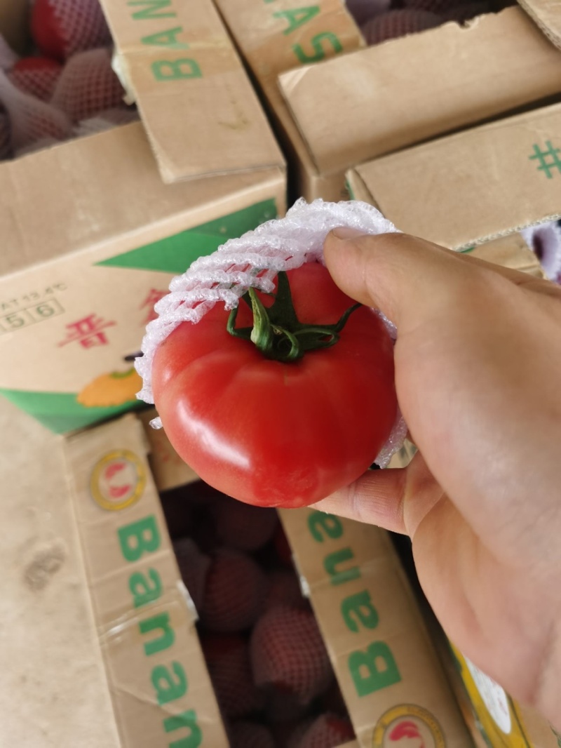 普罗旺斯精品西红柿，需要的客户可以联系，各种规格