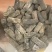 化州橘红干果圆果压果橘红片