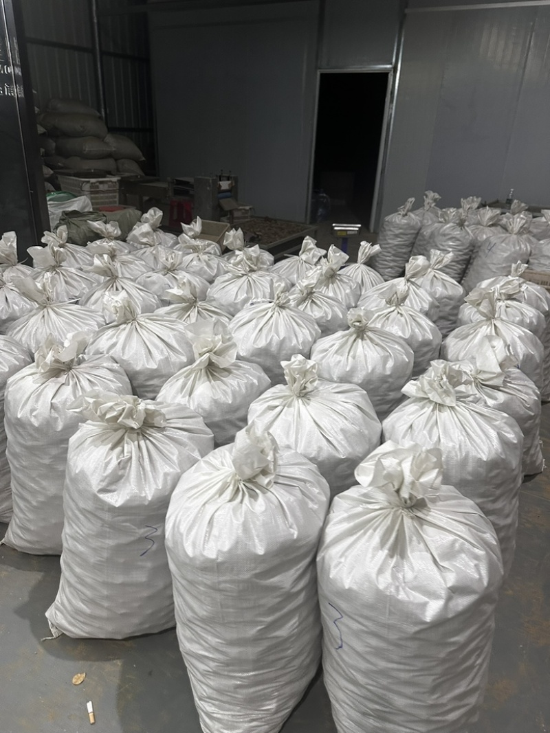 化州橘红干果圆果压果橘红片