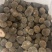 化州橘红干果圆果压果橘红片