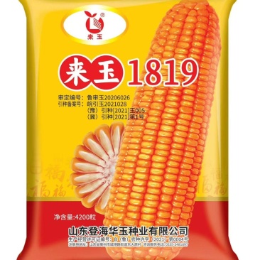 登海来玉1819玉米种