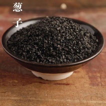葱籽中药材葱子不是种子无硫正品带打粉