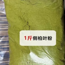 侧柏叶粉洗头去油利器