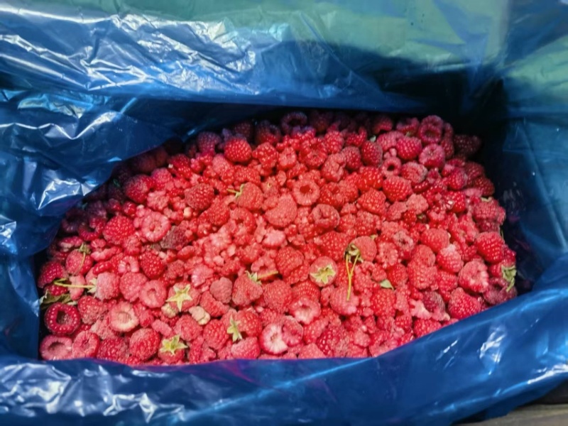 红树莓冻果树莓碎产地直发云南速冻树莓