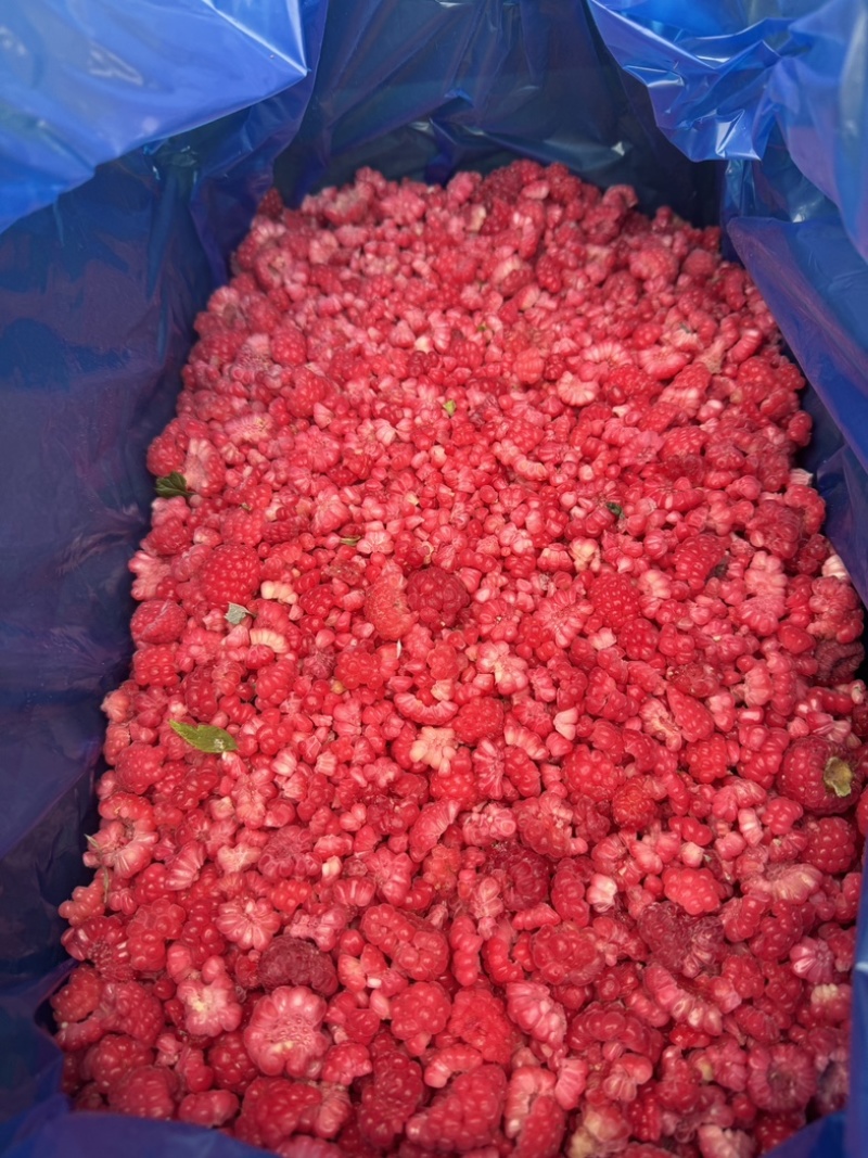 红树莓冻果树莓碎产地直发云南速冻树莓