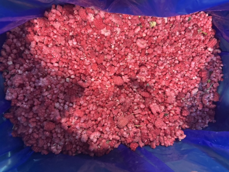 红树莓冻果树莓碎产地直发云南速冻树莓