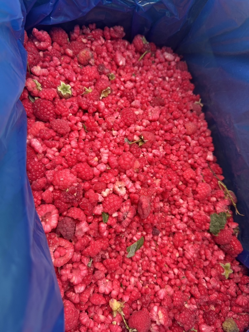 红树莓冻果树莓碎产地直发云南速冻树莓