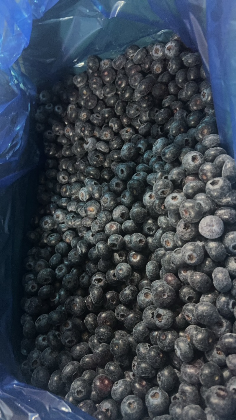速冻蓝莓冻果产地直销蓝莓冻果A货清洗蓝莓冻果