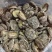 随州香菇精选光面菇3~4cm产地直销品质稳定可出口