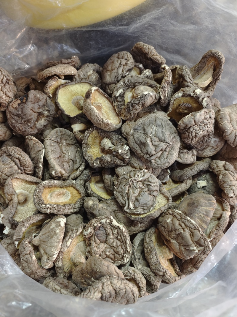 随州香菇精选光面菇3~4cm产地直销品质稳定可出口