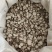 白芷，无硫白芷，产地货源，保质保量，批发各种中药材欢迎订