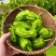 苏椒邹皮椒皮薄肉厚产地大量上市承接食堂饭店商超市场