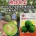 豫艺甜瓜豫甜翠宝甜瓜种子极早熟薄皮甜瓜种籽酥脆清香绿肉