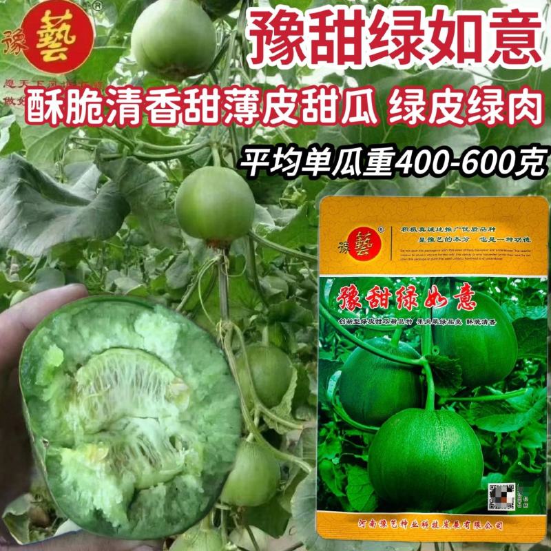 豫甜绿如意甜瓜种子绿皮绿肉甜瓜种籽绿宝薄皮甜瓜种籽酥脆