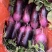 特级冰淇淋萝卜
