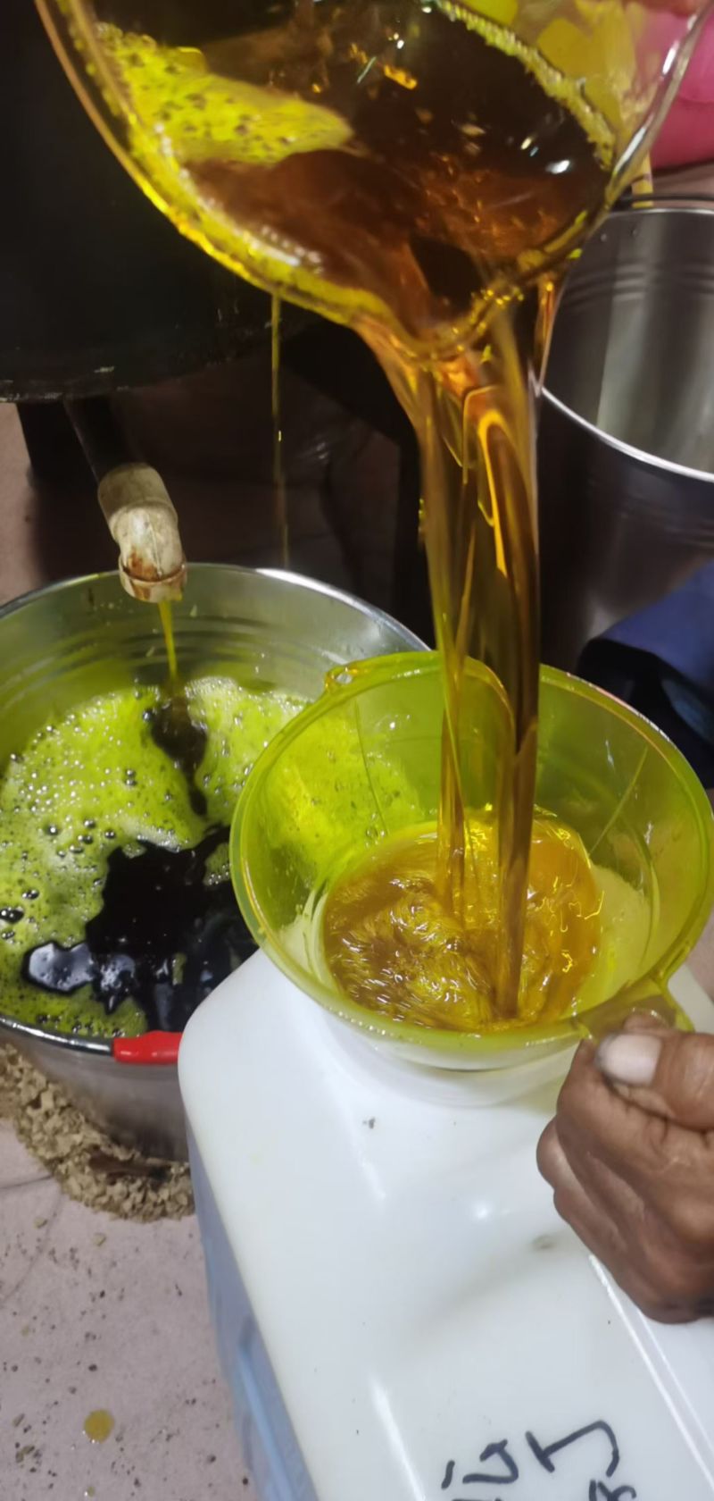 广西梧州农家山茶籽油山茶油批发