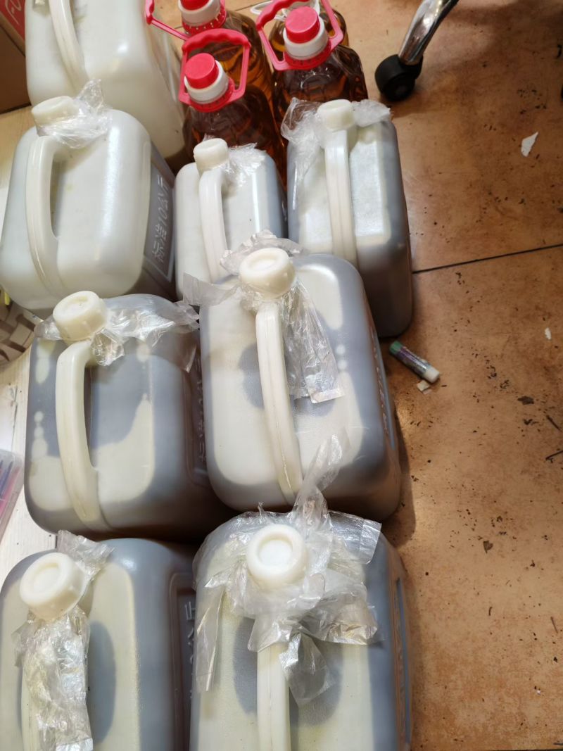 广西梧州农家山茶籽油山茶油批发