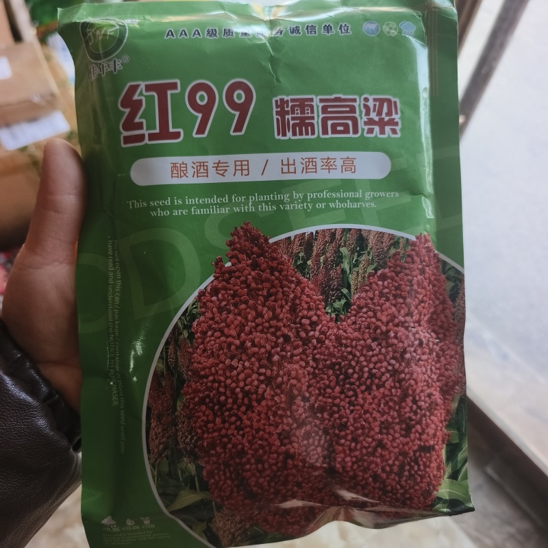 红99糯高粱，种子高粱种子矮杆高粱种子酿酒红高粱，种子