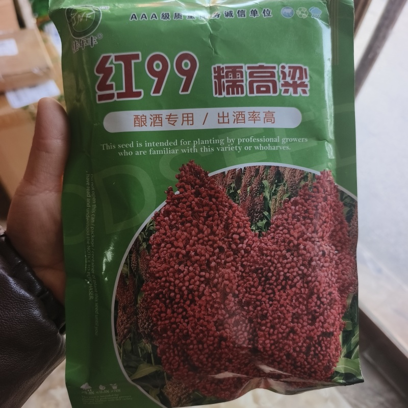 红99糯高粱，种子高粱种子矮杆高粱种子酿酒红高粱，种子