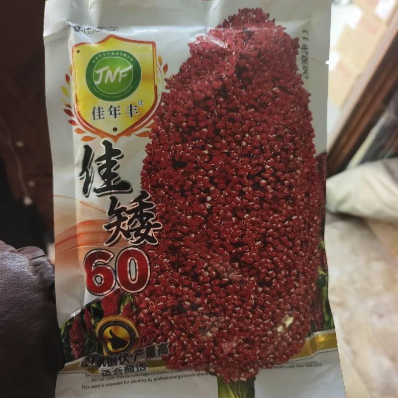 佳矮60高粱种子矮杆高粱种子酿酒红高粱种子抗鸟酿造型高产