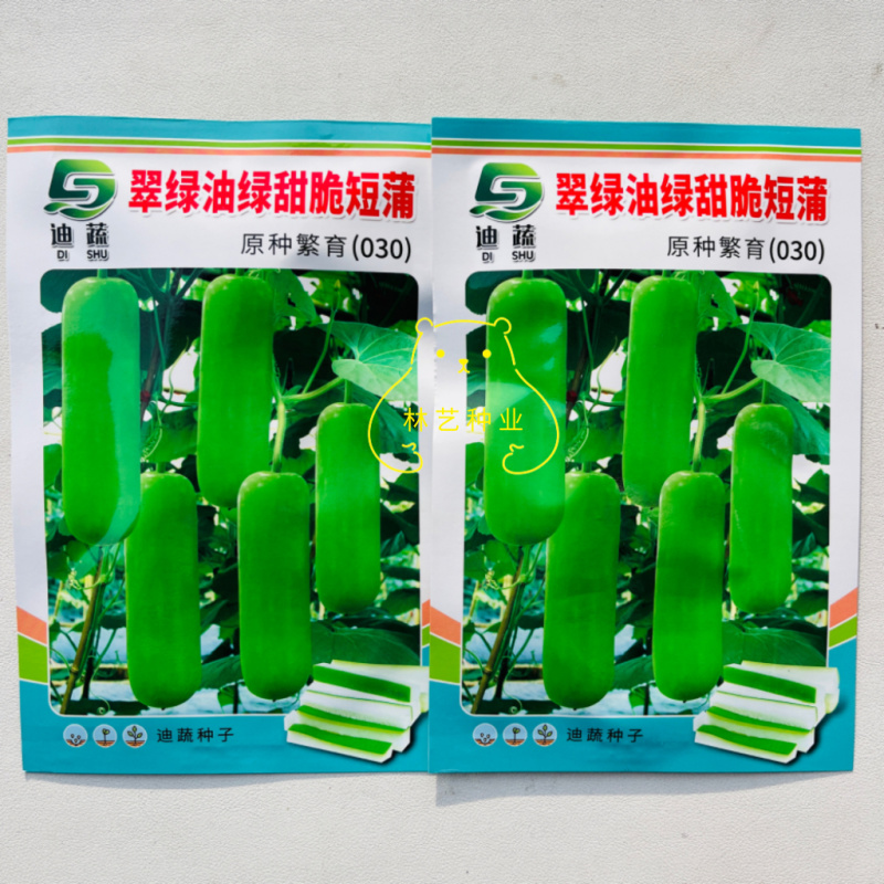 翠绿油绿甜脆短蒲瓜种子肉白细嫩鲜甜可口短瓠瓜种籽高产