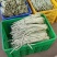 猪仔豆大肉甜豆角种子翠蜜天天摘油白厚肉耐老化好吃味甜豆角