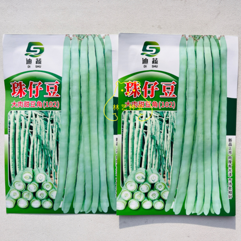 猪仔豆大肉甜豆角种子翠蜜天天摘油白厚肉耐老化好吃味甜豆角