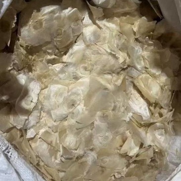 木蝴蝶