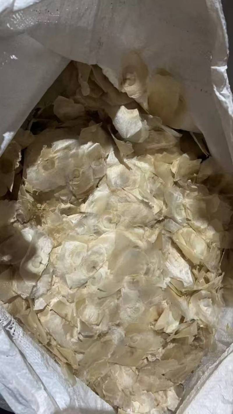 木蝴蝶