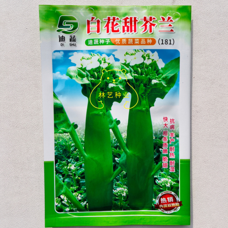 白花甜芥兰种子早熟白花芥蓝菜种籽粗条芥兰蔬菜