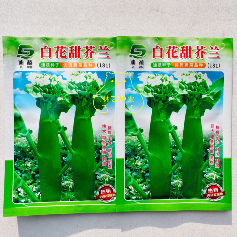 白花甜芥兰种子早熟白花芥蓝菜种籽粗条芥兰蔬菜