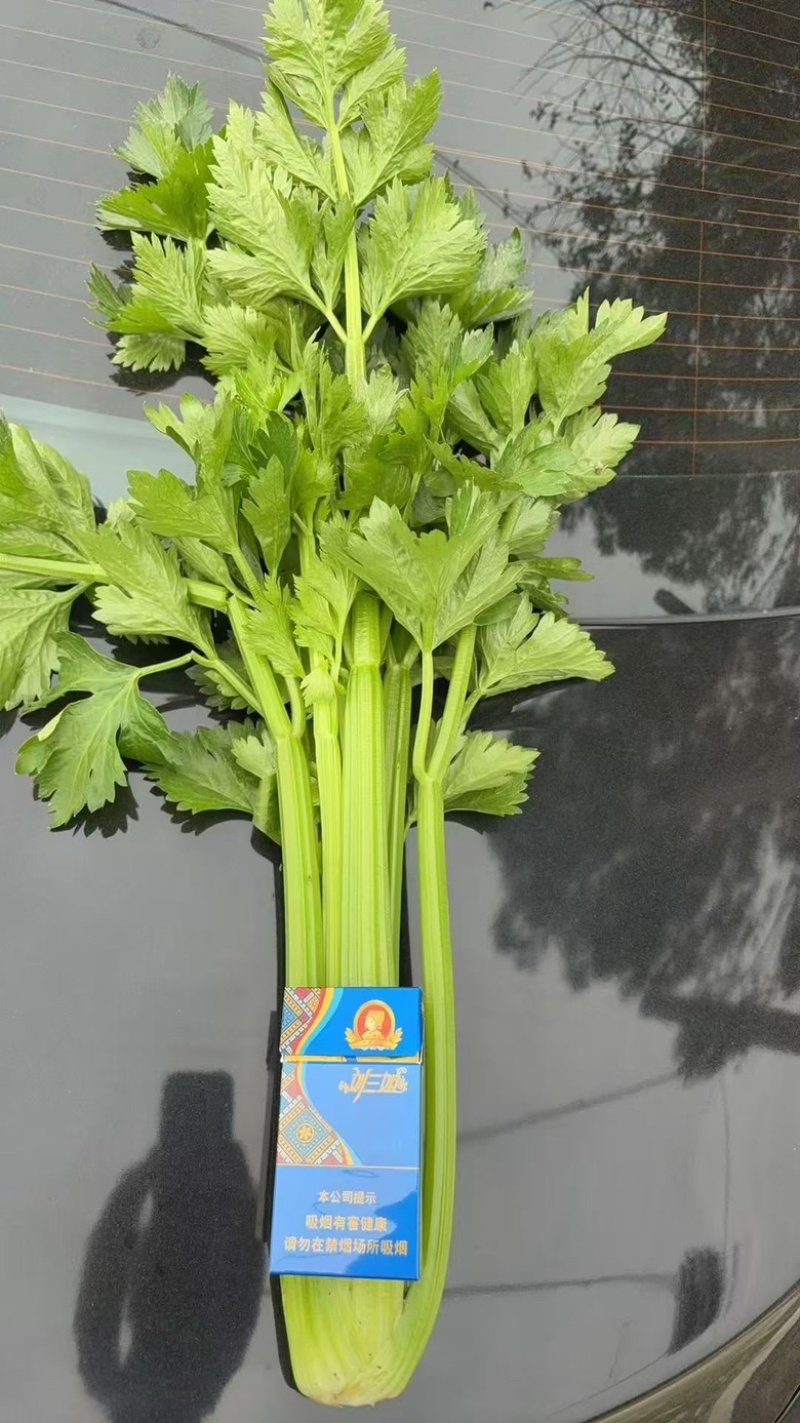 西芹