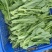 快大甜脆芥菜苔种子芥菜心早熟粗条无渣秋冬季四季蔬菜