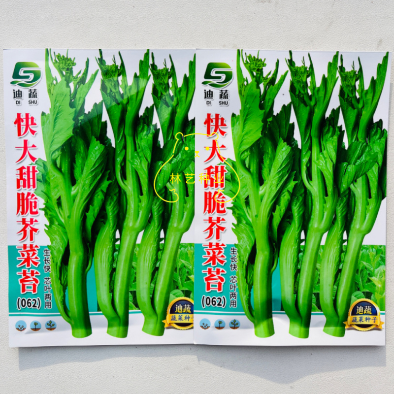 快大甜脆芥菜苔种子芥菜心早熟粗条无渣秋冬季四季蔬菜
