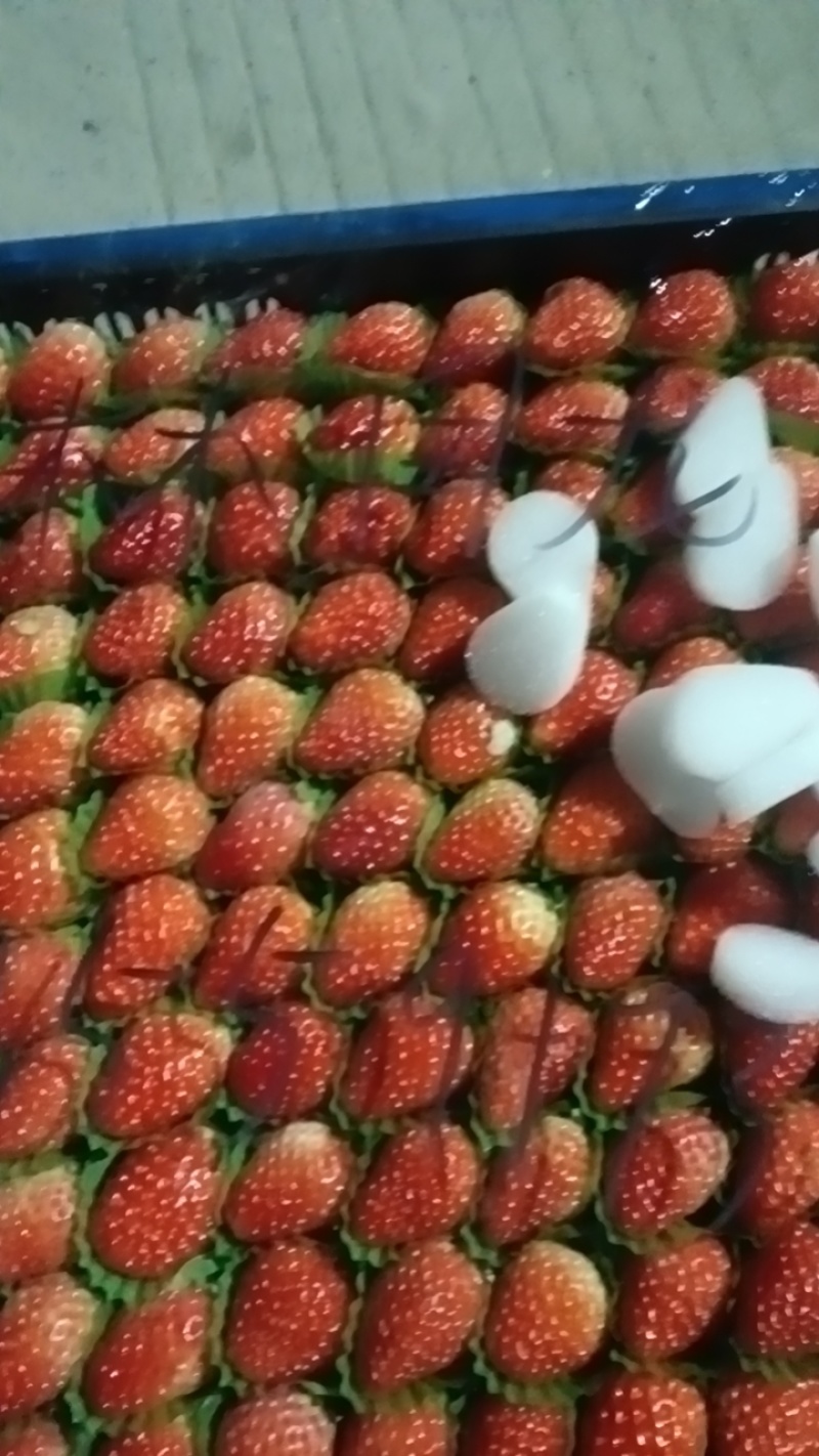 长丰精品红颜草莓百亩种植基地现摘现发对接商超档口