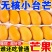 海南小台芒一件代发对接社区团购电商平台