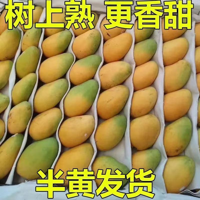 海南小台芒一件代发对接社区团购电商平台