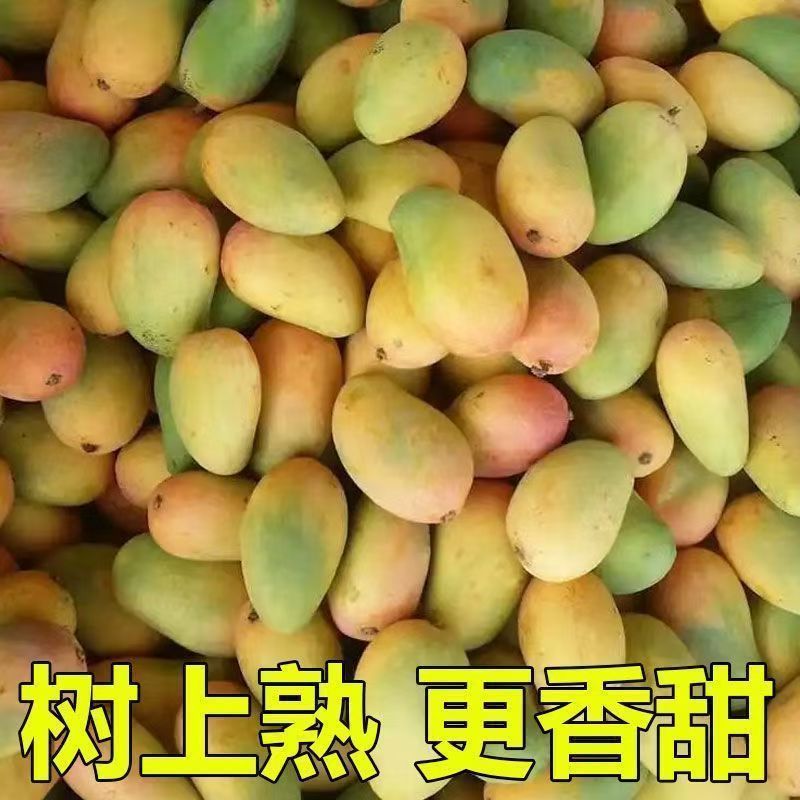 海南小台芒一件代发对接社区团购电商平台