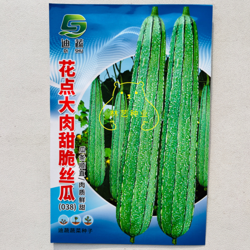 花点大肉甜脆丝瓜种子中早熟肉厚高产棱角大花点大田