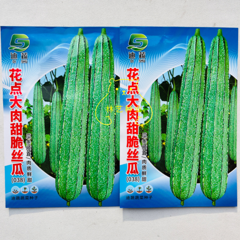 花点大肉甜脆丝瓜种子中早熟肉厚高产棱角大花点大田