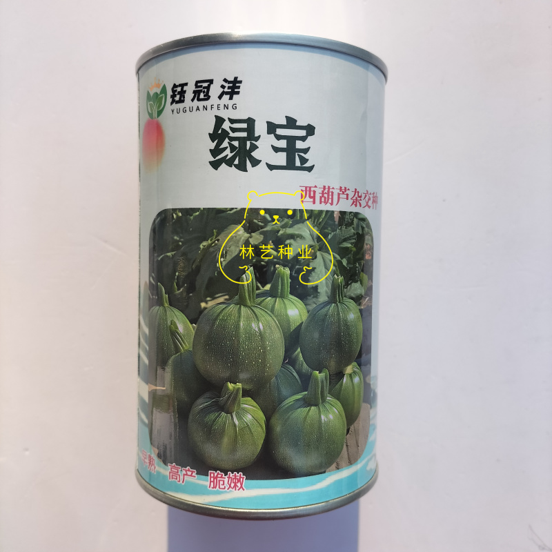 绿宝杂交种西葫芦种子无蔓高档高产油亮圆形种籽