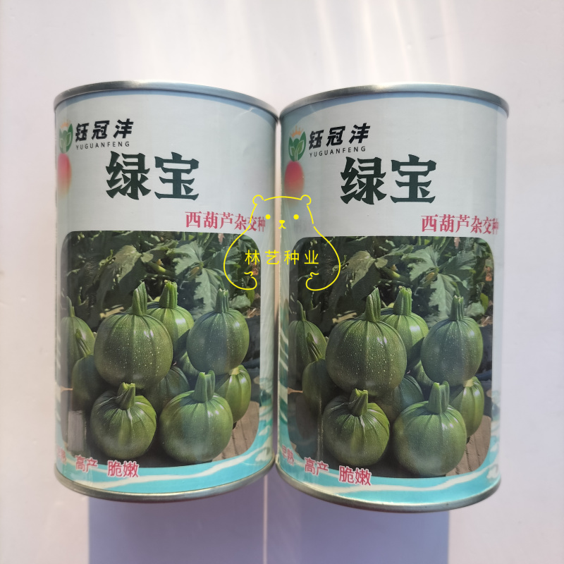 绿宝杂交种西葫芦种子无蔓高档高产油亮圆形种籽