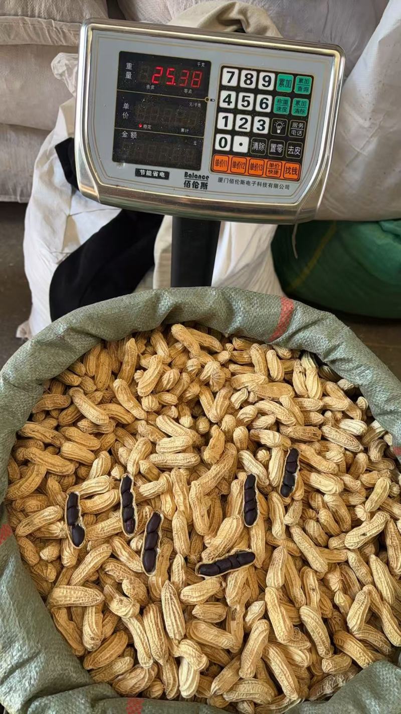 西双版纳精品古黑花生一手货源全国发货量大价优欢迎随时联系