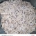 西双版纳精品古黑花生一手货源全国发货量大价优欢迎随时联系